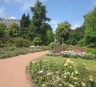 Rosengarten Zweibrücken