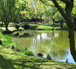 Eindrücke aus dem Walter-Peters-Park