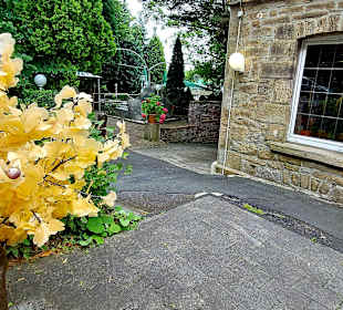 Terrasse Blue Elephant