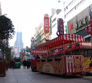 Elektrowägelchen auf der Nanjing Donglu