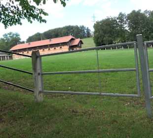 Haupt- und Landgestüt Marbach