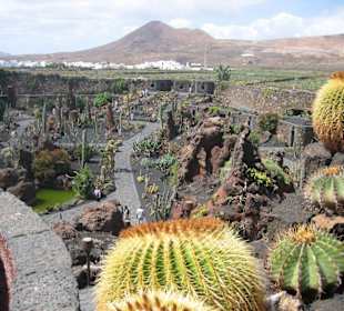 Blick vom Mühlenstandort aus