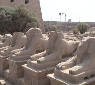 vor dem KarnakTempel