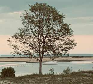 Wandern Nieby