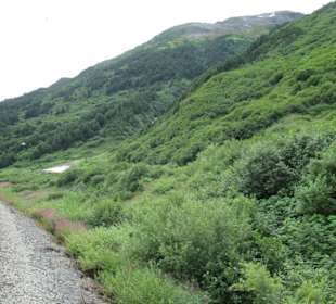 Auf dem Weg zu den Gletschern