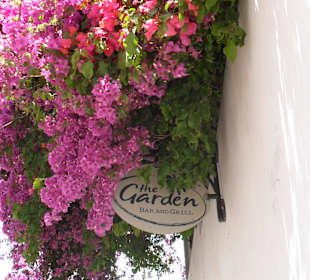The garden