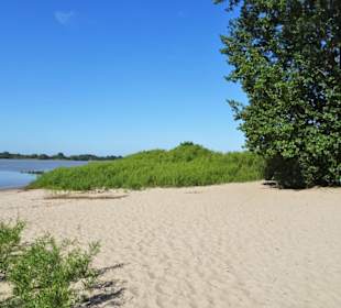Strandspaziergang am Rissener Ufer