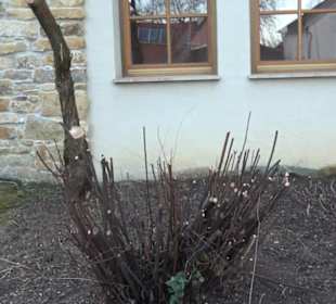 Evang. Gemeindehaus Glems