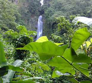 Emerald Pool und Wasserfall