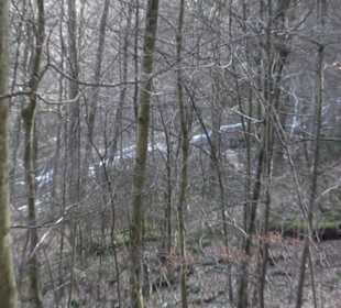 Wasserfallsteig