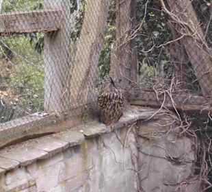 Weltvogelpark Walsrode