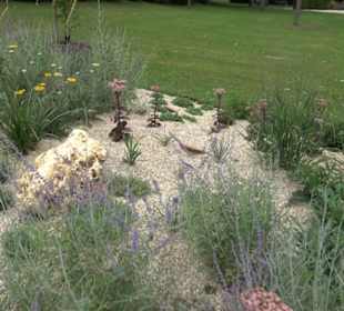 Blühendes Neresheim