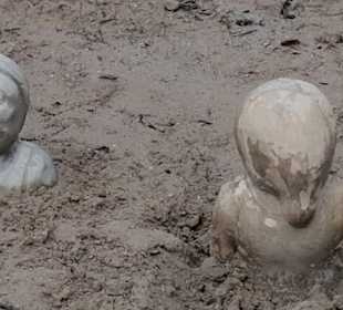 Gnome