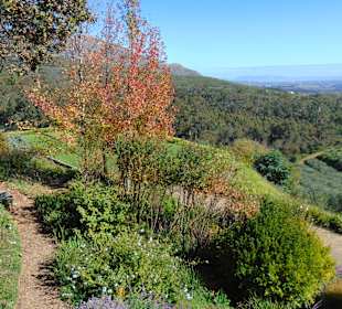 Weingut Tokara in Stellenbosch