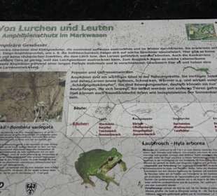 Sport- und Freizeitpark Markwasen