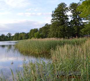 Wandern Groß Köris