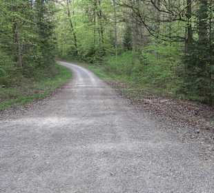 Walderlebnisweg Rottenburg