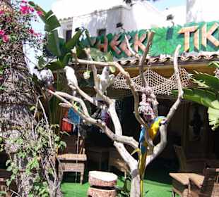 Eine Tiki-Bar in der Nähe des Hotels