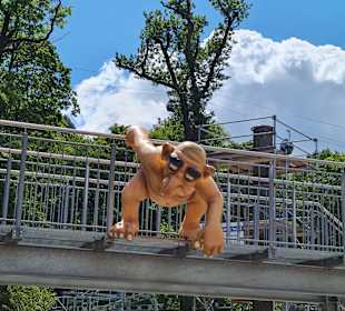 Stadtrundgang Quedlinburg