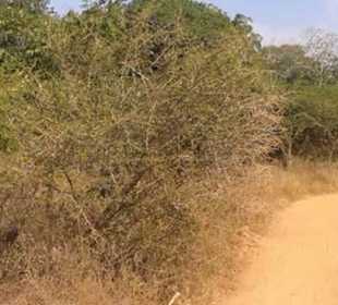 Motorrad-Touren auf Sri Lanka - Shan Lanka Tours