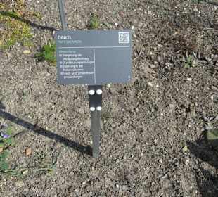 Erläuterungen der Kräuter