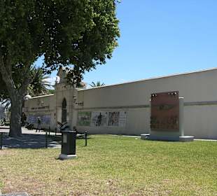 Museo del pato Combate