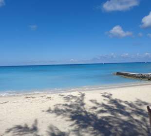 Im Bereich des National Parks