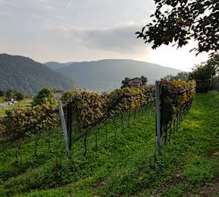 Wandern im Versazca Tal