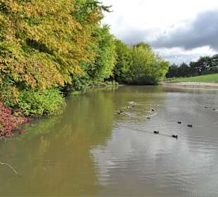 Spaziergang durch den Mühlenkamp-Park
