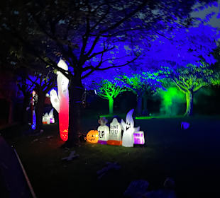 Mondo Verde Halloween