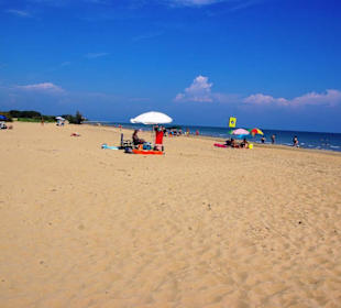 Freier Hundebereich kostenlos