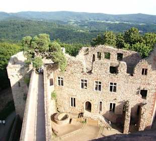 Auerbacher Schloss: Turmblick