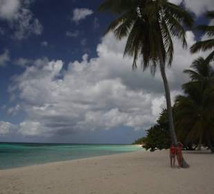 Insel Saona