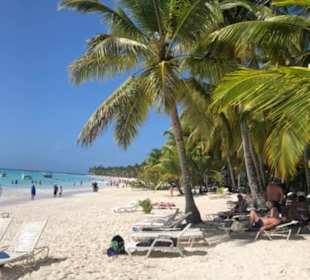 Wunderschön auf Saona