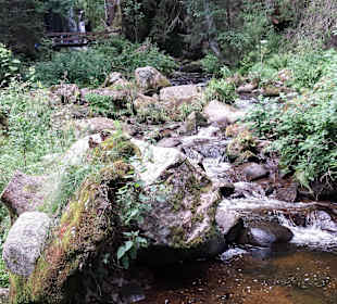 Am Gasthof "Zum Kuckuck"
