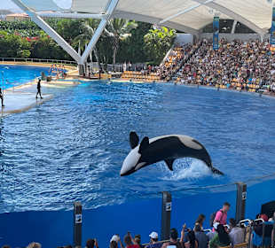 Loro Parque 