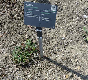 Erläuterungen der Kräuter