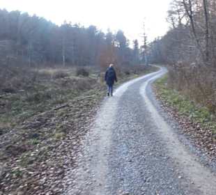 Schönbuch Schaichtal