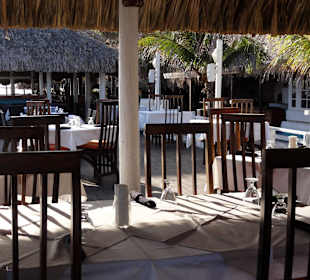 Terrasse des Restaurant "Dal Toro"