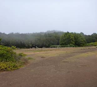 Impressionen La Gomera