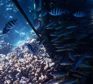 Riff am Makadi Palace