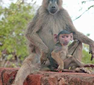 Mama mit Baby