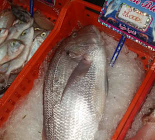 Leckerer Fisch beim Mare Blue