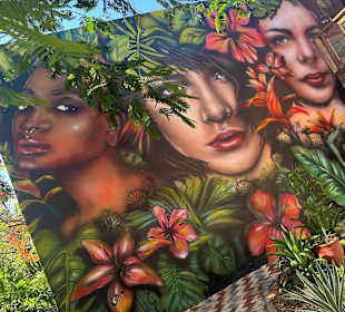 Stadtrundgang Varadero