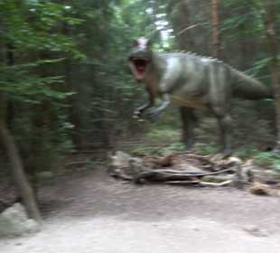 Dinosaurier Museum Altmühltal