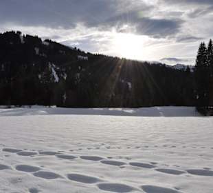 Vom ADAC ausgezeichnet: Skigebiet Balderschwang