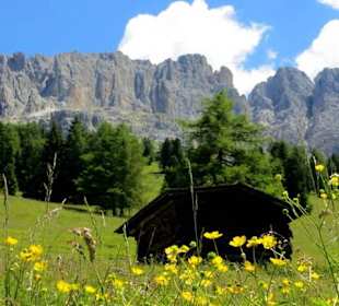 Ansicht von der Messner-Hütte aus