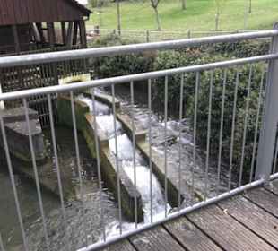 Baumannsche Mühle