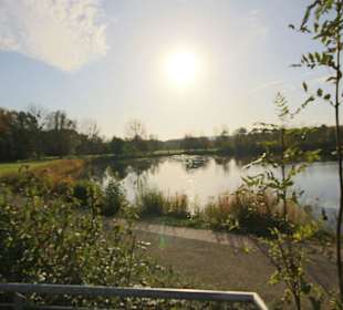 Promenade am Hohnsensee Hildesheim