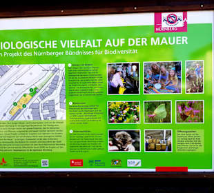 Bio Erklärung